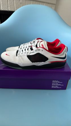 Nike SB Ishod 8.5