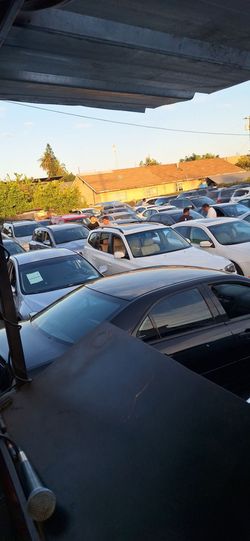 Public auctions