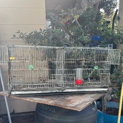 Jaulas Para Pájaros Con División Para Cría 