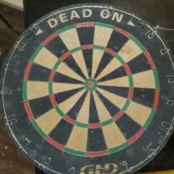 Pro Dart Board