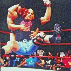 WWF WRESTLEMANIA XV Live Photocard #35 "Stone Cold"  Steve Austin