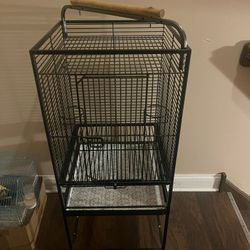 Bird Cage 