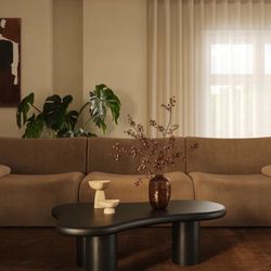 116.5" Latte Brown Performance Velvet Modular Sofa (T) $1699  FREE LOCAL DELIVERY  