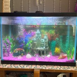 20 Gallon Fish Tank With Fish,Decor&Filter