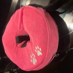 Recovery Donuts For Cats