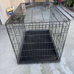Dog Kennel