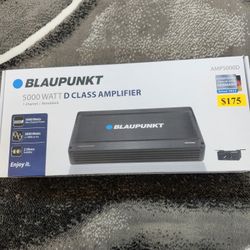 5000 Watts Bluapunkt D Class