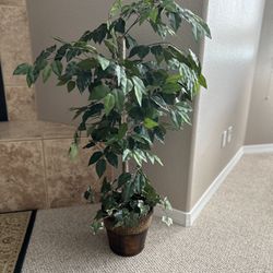 Aphighjoy Faux Articial Ficus Tree Potted