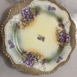 Imperial Austria Vintage Hand Painted Plate 