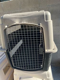 Dog crate kennels $20 each