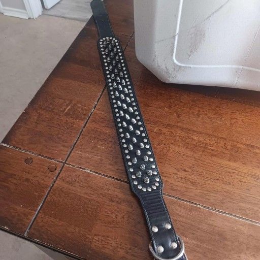 Dog Collar