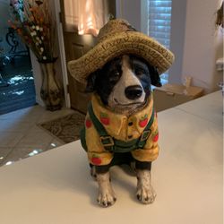 Cute Floor Dog