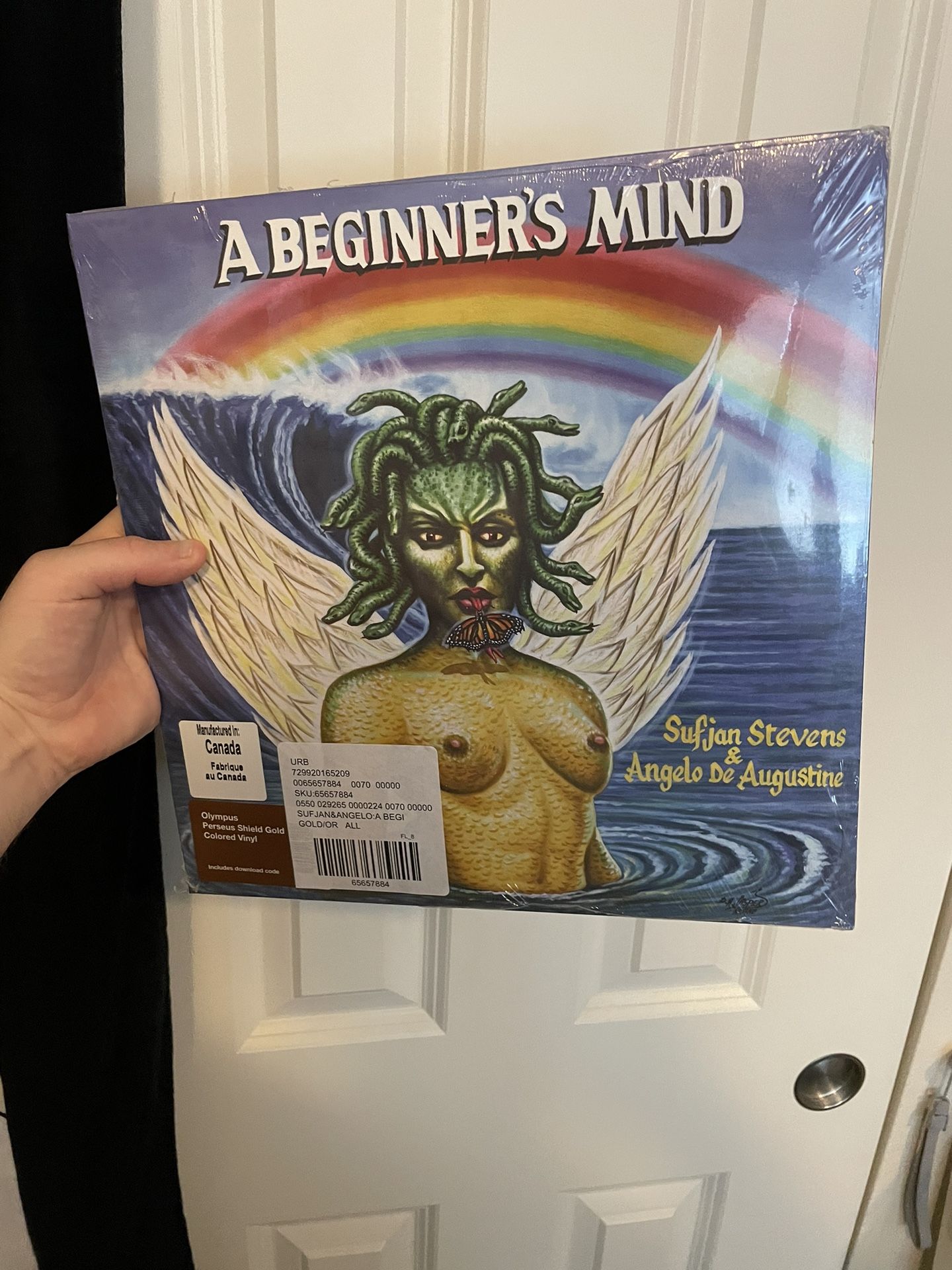 A Beginners Mind By Sufjan Stevens Vinyl