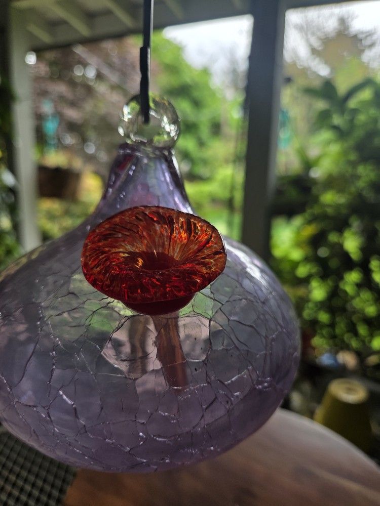 Glass Blown Hummingbird Feeders