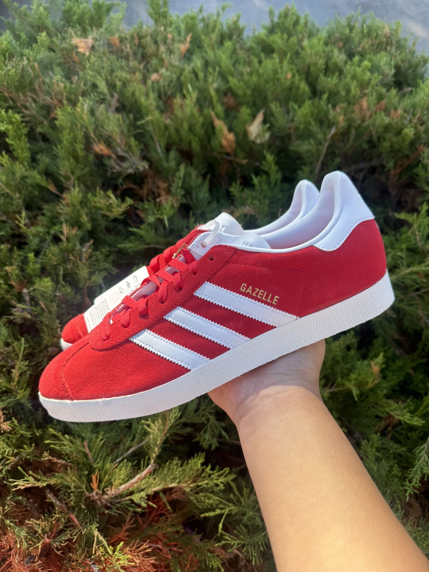 adidas gazelle red and white 