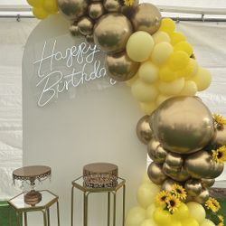 Backdrop And Balloons Decorations 