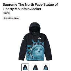 Supreme The North Face Liberty Mountain Jacket Size L