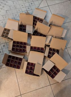 Glass Votive Holders And Red Candles