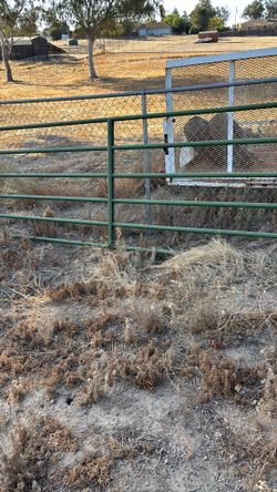 Cattle gate