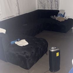 Black Velvet Couch 