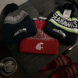 Beenie Lot 