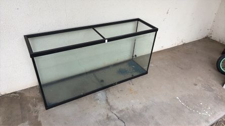 55 gallon aquarium