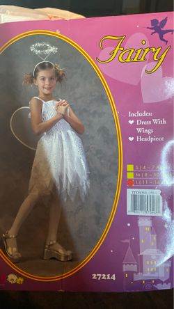 Fairy Costume ages 11-14 (large)