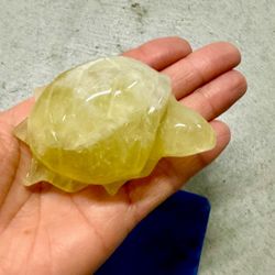 Citrine Turtle For Abundance
