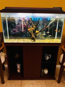 32 gal Aquarium (including fish)