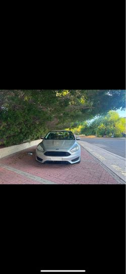 Ford focus 2015