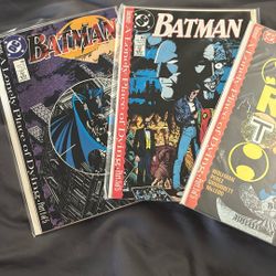 Batman, New Titans, Batman: New Robin Series 