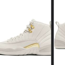 Jordan 12s 