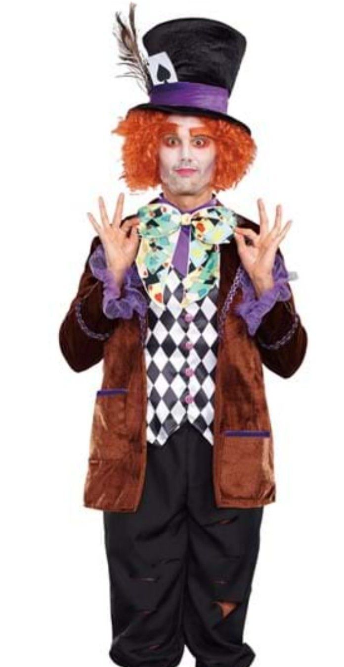 Alice In Wonderland Mad Hatter Men's Large Costume
