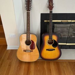 12 & 6 String Guitars 