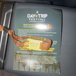 Day Trip Festival 2026 VIP