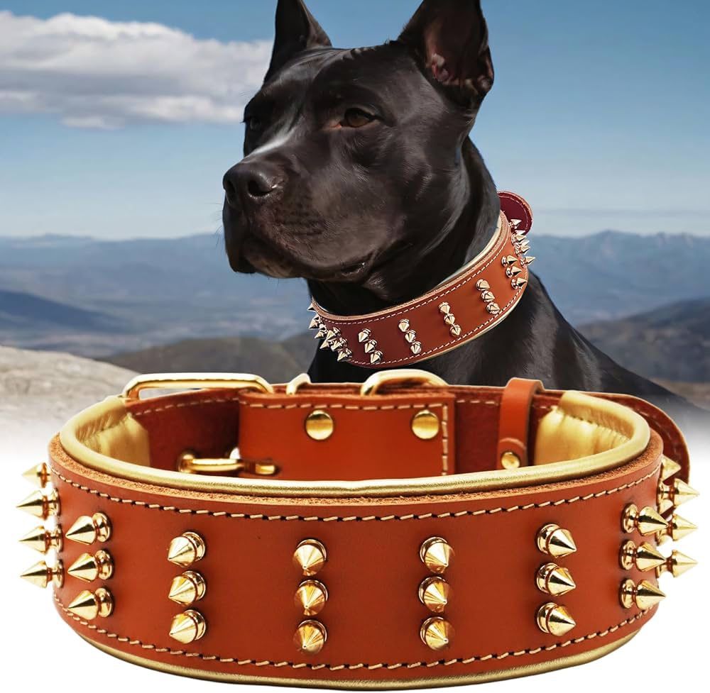 Spike Leather Dog Collar