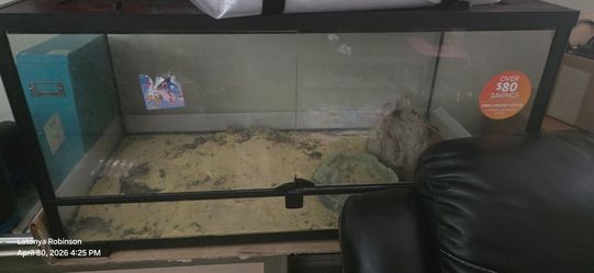 Tank