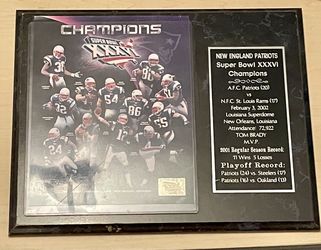 New England Patriots NFL Super Bowl