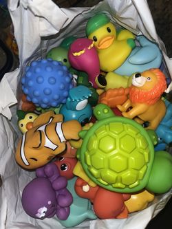 Squishy Toys / Bath Toys