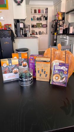 Halloween lights and decor all $15