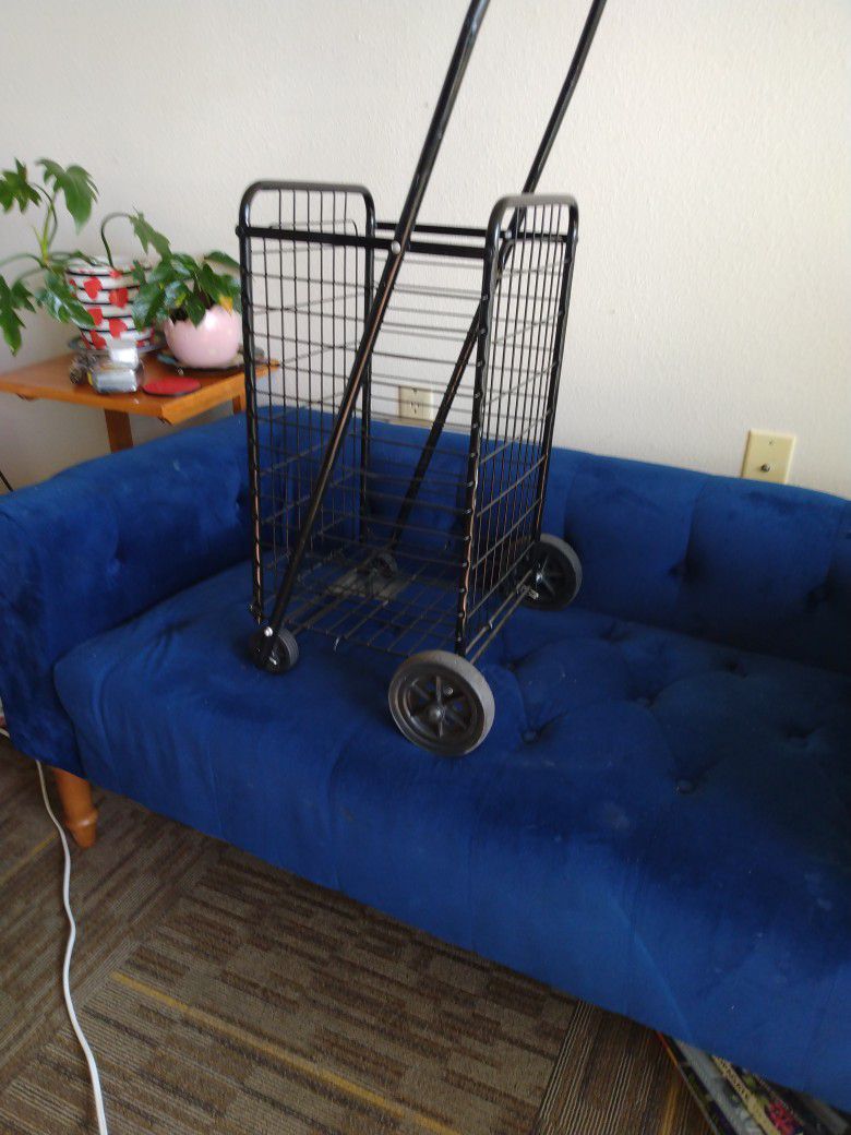 Small Grocery Cart