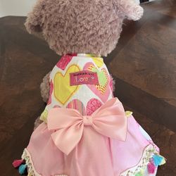 Dog Dress 🐶🐾🐾