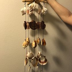 Hanging Seashell Decor/ Wind Chime