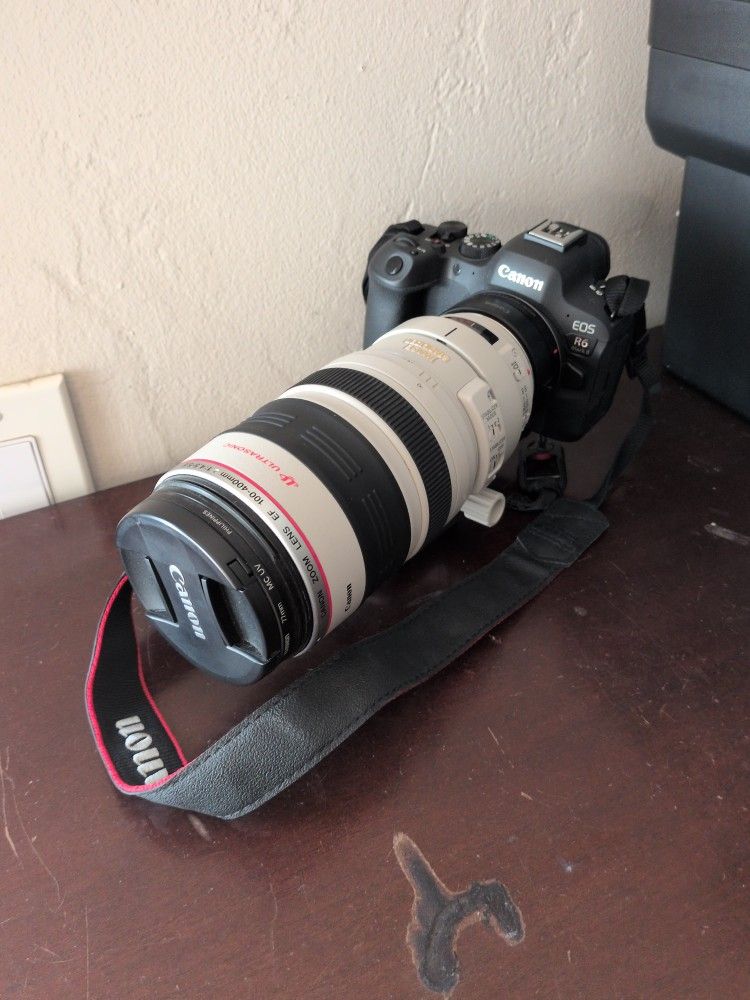 Canon R6 Mark II & 100-400mm Lens