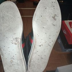Authentic Gucci Sneakers 
