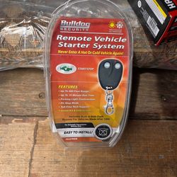 Remote Vehicle Starter System