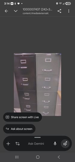 2 File Cabinets