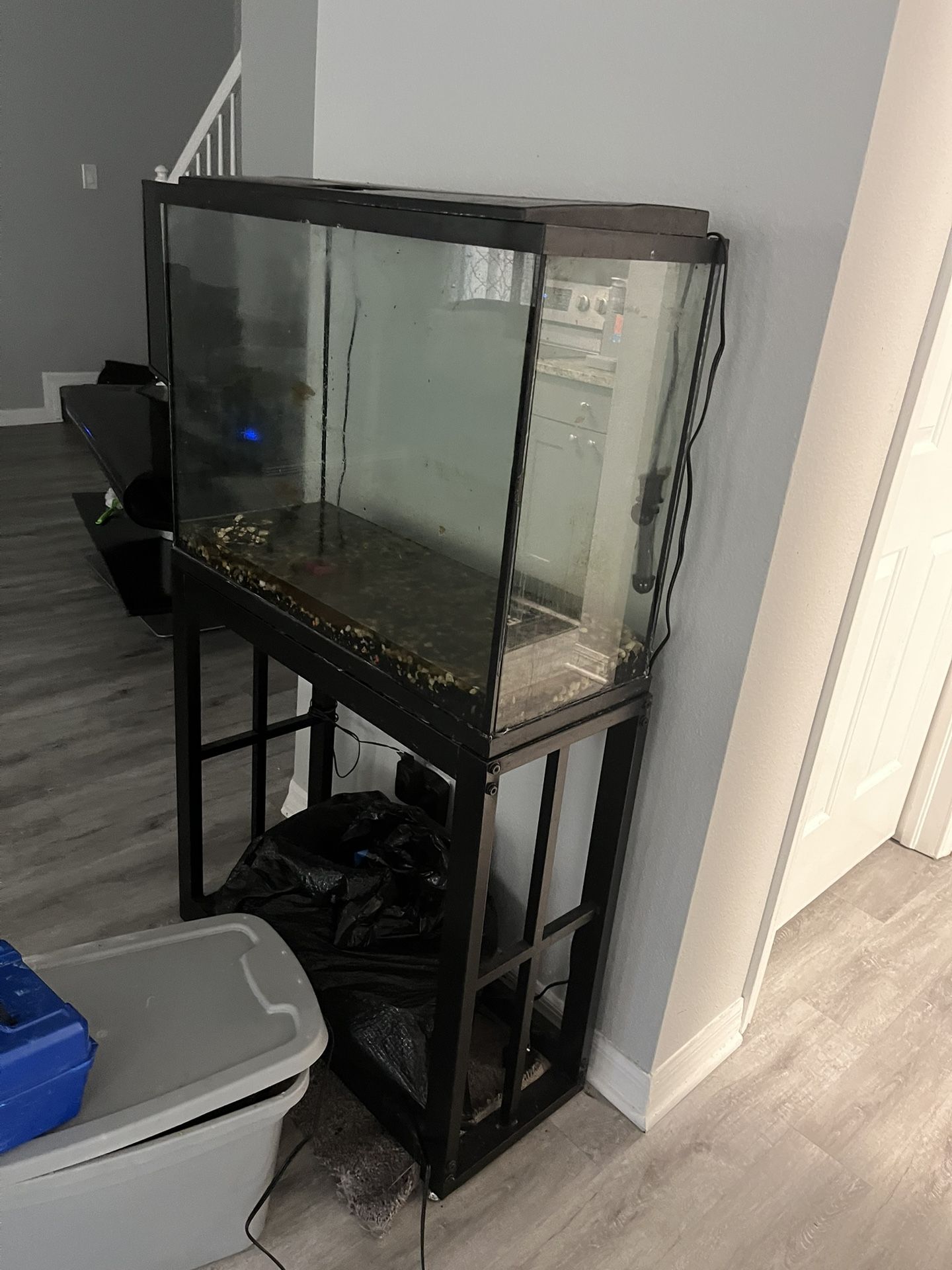 40 Gallon Fish tank With Stand , Filter And Heater , Almost Cleaning Pump And Etc
