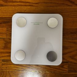 Vutek Scale