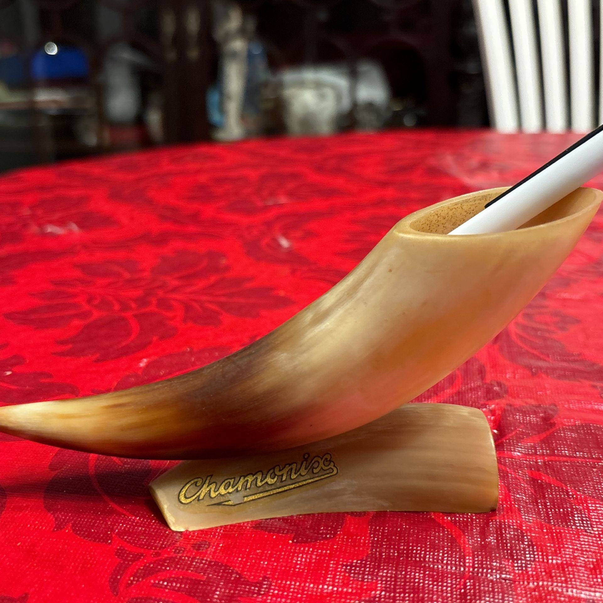 Natural Horn Pen Container